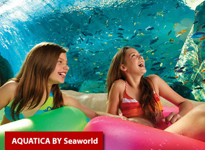 SeaWorld Orlando Single Day + All Day Dining 